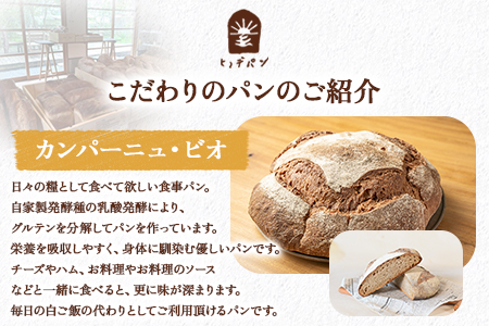 ★数量限定★＜国産 有機小麦 使用 こだわり 薪窯パン 詰め合わせ Bセット＞翌月末迄に順次出荷【 パン 有機 小麦 薪窯 手捏ね ルヴァン種 ヒノデパン 】