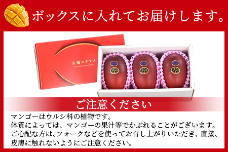 ★2026年発送★数量限定＜宮崎県産 完熟マンゴー 太陽のタマゴ A2L×3玉（合計約1kg）＞2026年4月上旬～6月末迄に順次出荷【 果物 青果 マンゴー フルーツ マンゴー 太陽のタマゴ マンゴー 完熟マンゴー マンゴー 数量限定 マンゴー 期間限定 マンゴー -】