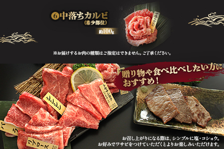 ＜宮崎牛特選食べ比べ6点盛り 合計約600g (約100g×6種)＞2か月以内に順次出荷【 国産 牛 牛肉 贅沢 お祝い 誕生日 黒毛和牛 ロース バラ 霜降り セット 食べ比べ 】