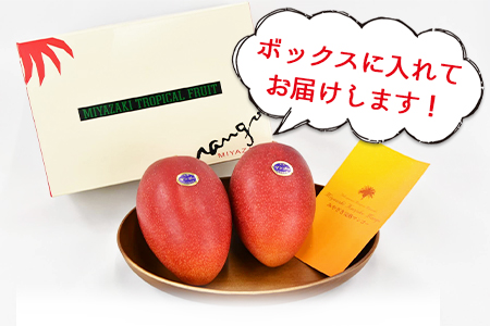 ★ANA限定★2026年発送★数量限定＜宮崎県産 完熟マンゴー B3Lサイズ×2玉＞2026年4月上旬～6月末迄に順次出荷【 ANA限定 ANAオリジナル マンゴー まんごー 完熟マンゴー 宮崎名物 マンゴー 数量限定 マンゴー 期間限定 マンゴー 果物 マンゴー フルーツ マンゴー スイーツ マンゴー マンゴー -】