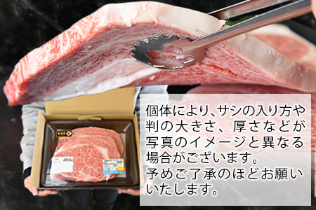 【期間限定】＜宮崎牛ロースステーキ 2枚 合計500g＞入金確認後、1～3か月以内に順次出荷【肉 牛肉 ステーキ 宮崎牛 国産牛 ブランド牛 ロース ミヤチク【b0374_my_ouen-x1】 【250g×2枚】21,000円