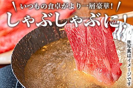 ★すきしゃぶ用 牛肉★＜宮崎牛 外モモ 赤身 スライス 500g+100g（合計600g）＞翌月末迄に順次出荷【 牛 肉 牛肉 和牛 黒毛和牛 モモ すき焼き   しゃぶしゃぶ すきしゃぶ --】