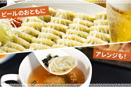 ★定期便4回★＜手づくり 一口餃子 120個入り（3か月に1回発送）＞翌月末迄に第一回目を出荷【 餃子 ぎょうざ ギョウザ ギョーザ 宮崎餃子 一口餃子 大明神 鶏肉 豚肉 野菜 餃子大容量 -】 120個　4回定期便　156,000円