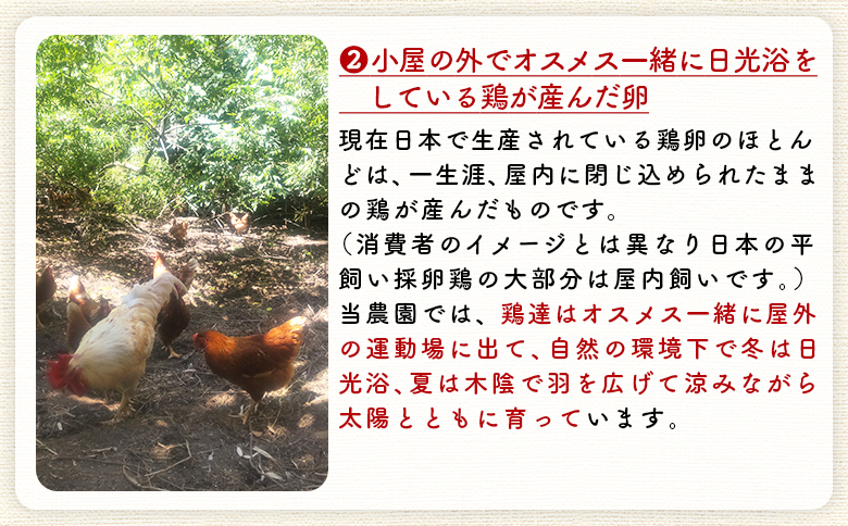 ＜自然農園「こころ」の平飼い『ありがとう卵』20個（10個×2パック）＞ 3か月以内に順次出荷【 卵 たまご タマゴ　生卵 ゆでたまご ゆで卵 卵焼き 玉子焼き オムレツ 親子丼 たまごかけご飯 たまごかけごはん 卵かけご飯 有精卵 平飼い 】 20個