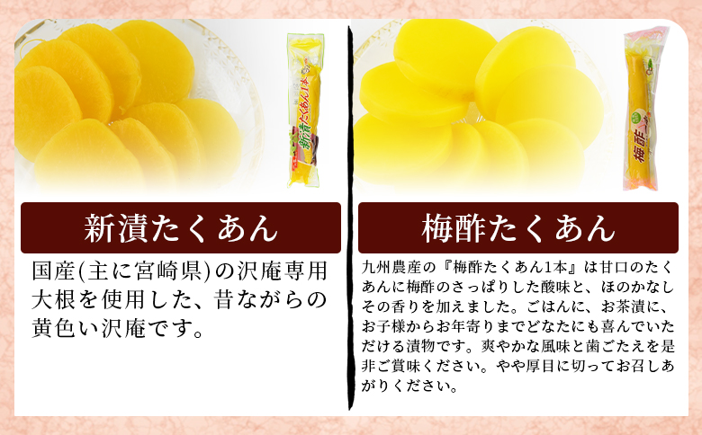 ＜漬物詰め合わせ 10種セット＞翌月末迄に順次出荷【 漬け物 詰め合わせ 食べ比べ セット 加工品 国産 沢庵 たくあん 大根 しそ味 ごはん ご飯のお供 お茶漬け 付け合わせ 】 10種類セット