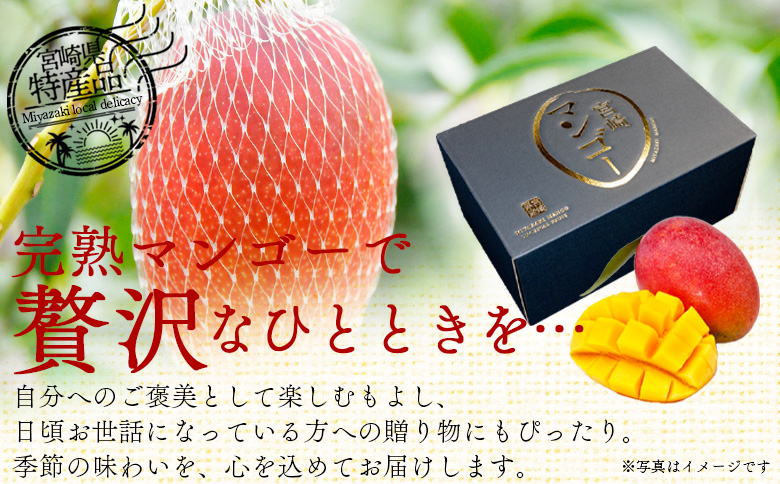 【先行予約 2026年発送】<宮崎県産 完熟マンゴー 2L 合計2玉＞入金確認後、2026年5月初旬～7月末迄に順次出荷 【 選べる 大きさ サイズ 国産 かんじゅく とろける 果物 果実 フルーツ 南国 芳醇 甘い 旬 濃厚 贈り物 プレゼント（株）ワールドワイドトレード 宮崎県 国富町 】 【2L×2玉】　17,000円
