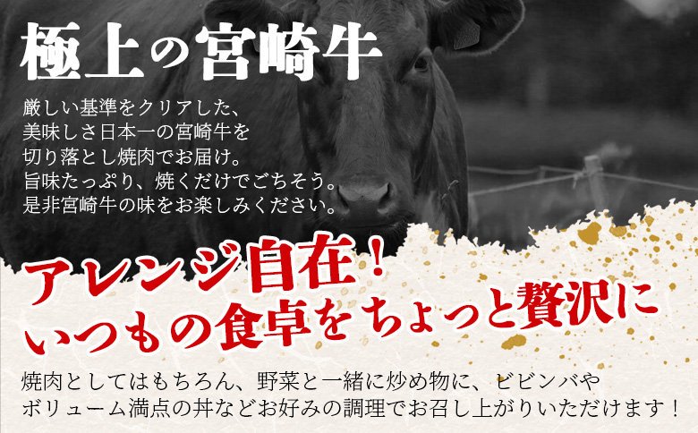 ＜宮崎牛 切落し焼肉1kg（500g×2）＞入金確認後、1～3か月以内に順次出荷【国産 黒毛和牛 牛肉 牛 精肉 赤身 ブランド牛 ちょっと豪華 毎日の食卓 プチ贅沢 ご褒美 旨味 普段使い 焼き肉 形 大きさ 不揃い 切り落とし やきにく 焼くだけ ミヤチク 宮崎県 】【b0986_my】