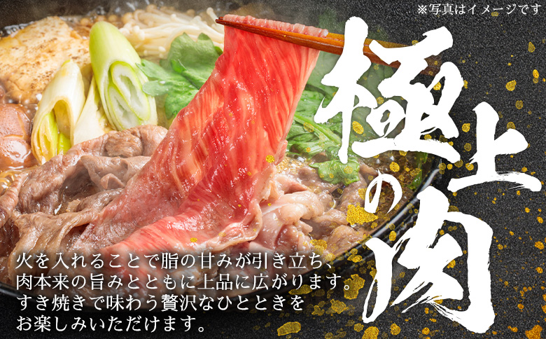＜宮崎牛特選 赤身スライス 合計600g＞入金確認後、14営業日以内に順次発送 【 A5等級 ランク 最高等級 高級 お肉 和牛 黒毛和牛 ブランド牛 柔らかい 鍋 豪華 ごうか ご褒美 新鮮 鮮度 】 【スライス】合計600g