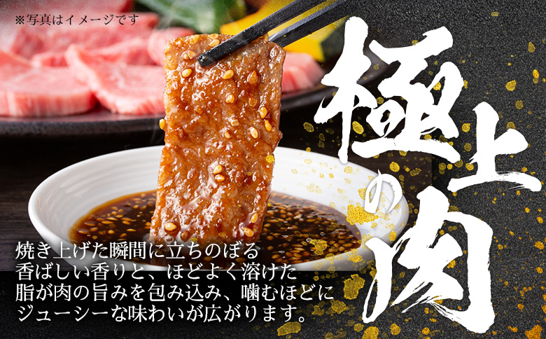 ＜訳あり 宮崎牛 切り落とし焼肉 合計600g＞入金確認後、14営業日以内に順次発送 【 焼肉用 焼き肉 やきにく 訳アリ品 わけあり A5等級 ランク 高級 お肉 和牛 黒毛和牛 ブランド牛 柔らかい お家焼肉 BBQ バーベキュー ご褒美 新鮮 鮮度 】 合計600g