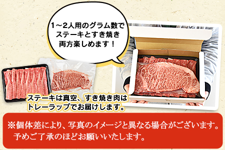 ＜宮崎牛 サーロインステーキ ＆ 宮崎牛 肩（ウデ） すき焼き 肉セット 合計500g＞翌月末迄に順次出荷【 牛 肉 牛肉 和牛 黒毛和牛 焼肉 BBQ 】