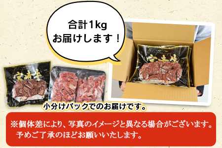 ＜宮崎牛 サイコロステーキ ＆ 宮崎牛 トモバラ 切落とし（焼肉）合計1.0kg＞翌月末迄に順次出荷【 牛 肉 牛肉 和牛 黒毛和牛 焼肉 BBQ 】