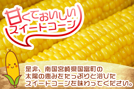 予約受付！＜朝採れ！国富町産ゴールドラッシュ4.5kg2Lサイズ13本＞2026年5月下旬～7月上旬迄に順次出荷【 とうもろこし スイートコーン 先行予約 野菜 穀物 甘い トウモロコシ 数量限定 】