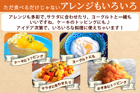 <宮崎県産完熟マンゴー 2L×2玉＞2026年3月下旬～6月下旬迄に順次出荷 【国産 国富町産 完熟700g以上 期間限定 】[AAS0594]