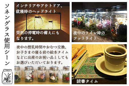 ＜ボタニカルアート ソネングラス＞翌月末迄に順次出荷【 インテリア ライト 飾り かわいい プレゼント 贈り物 ソーラー 雑貨 アウトドア 出産祝い 】