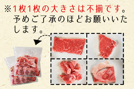 ＜宮崎牛 切り落とし 合計600g（200g×3）＞翌月末迄に順次出荷【 国産 牛 牛肉 黒毛和牛 切落し 贅沢 高級　お祝い 誕生日 特別 和牛 】
