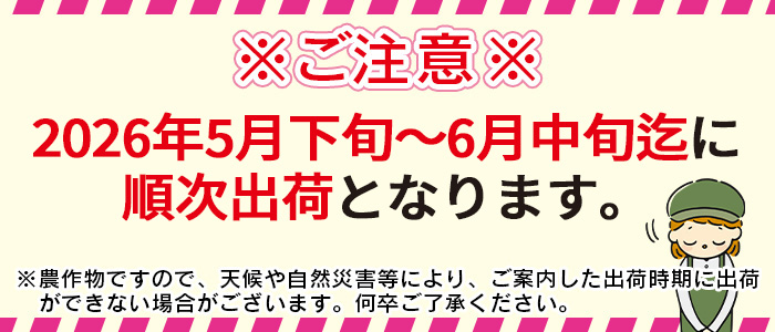 ★2026年発送★期間限定＜宮崎県産 スイートコーン 約9kg（約4.5kg×2箱）＞2026年5月下旬～6月中旬迄に順次出荷【 先行予約 穀物 野菜 甘い 季節限定 とうもろこし おやつ ご飯 】
