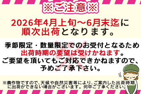 ★2026年発送★数量限定＜宮崎県産 完熟マンゴー 太陽のタマゴ A2L×3玉（合計約1kg）＞2026年4月上旬～6月末迄に順次出荷【 果物 青果 マンゴー フルーツ マンゴー 太陽のタマゴ マンゴー 完熟マンゴー マンゴー 数量限定 マンゴー 期間限定 マンゴー -】