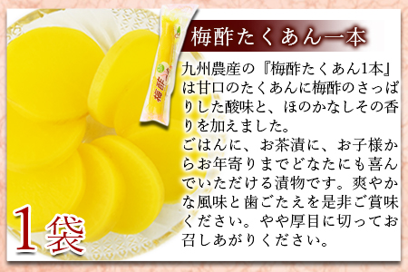 ＜漬物詰め合わせ 7種セット＞【 つけもの お漬物 セット 大根 食べ比べ お新香 たくあん 沢庵 つぼ つぼ漬け 味噌 味噌漬け みそ漬け ご飯 お弁当 付け合わせ おつまみ 】翌月末迄に順次出荷 7種類セット