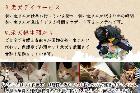＜保健所犬猫レスキュー【返礼品なしのご寄附】＞【 動物愛護 愛護活動 保護 犬 猫 いぬ ねこ イヌ ネコ 動物 どうぶつ ペット 応援 支援 寄付 使い道 寄附のみ いのちのはうす保護家 】 1,000円