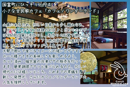 【ANA限定】本格ナポリピッツァ3種セット合計6ピース（各2ピース）/2か月以内に順次出荷/【 ピザ 地鶏 炭火焼き ANAオリジナル 】[BCF633]