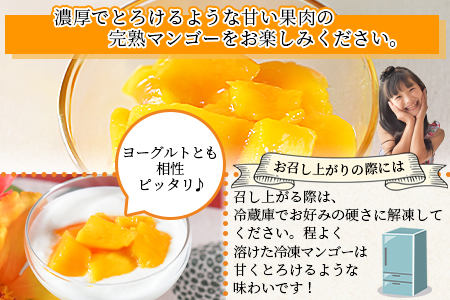 ★カット済★＜ＪＡみやざき宮崎中央地区本部管内産 宮崎県産 冷凍マンゴー 約270g＞翌月末迄に順次出荷【 マンゴー デザート 贅沢 果実 果物 アイス シャーベット スムージー 小分け ゼリー フルーツ 南国 -】