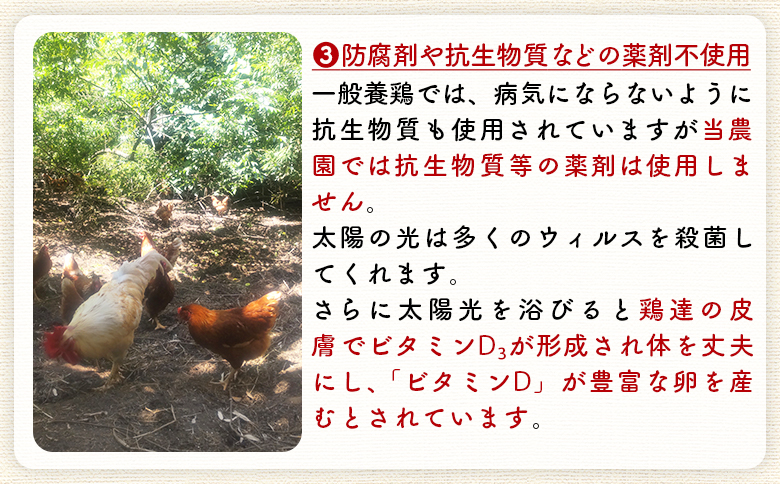 ＜自然農園「こころ」の平飼い『ありがとう卵』20個（10個×2パック）＞ 3か月以内に順次出荷【 卵 たまご タマゴ　生卵 ゆでたまご ゆで卵 卵焼き 玉子焼き オムレツ 親子丼 たまごかけご飯 たまごかけごはん 卵かけご飯 有精卵 平飼い 】 20個