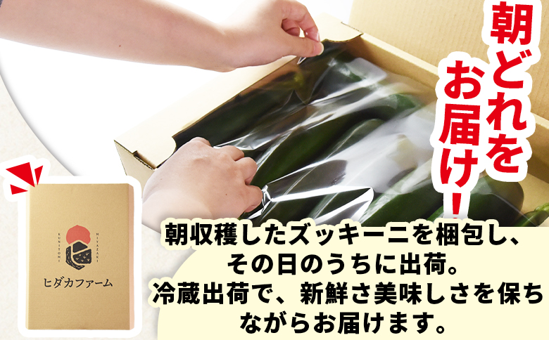 ＜野菜ソムリエサミット銀賞受賞！ あなたにズッキーニ約2kg（10本）＞1か月程度で出荷【 野菜 青果 国産 生食 輪切り ソテー サラダ 天ぷら ラタトゥイユ 】