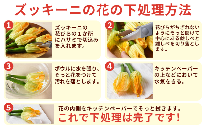＜あなたにズッキーニの花 8個＞1か月程度で出荷【 野菜 青果 国産 料理 アレンジ 天ぷら 】
