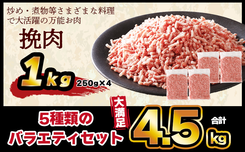 ＜宮崎県国富町産 豚肉バラエティセット 合計4.5kg＞入金確認後、翌月末迄に順次出荷【バラエティーセット お肉 ぶた肉 小分けパック 真空パック ロース とんかつ トンカツ しゃぶしゃぶ用 小間切れ 豚こま ひき肉 挽肉 普段使い 普段の料理 精肉 】