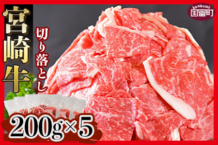 ＜宮崎牛 切り落とし 合計1kg（200g×5）＞翌月末迄に順次出荷【 牛 肉 牛肉 宮崎牛 小間切れ こま切れ 牛小間 牛こま カレー 肉じゃが 】