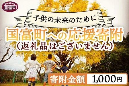 ＜寄附のみの応援受付(返礼品はございません)＞寄附額1,000円【 応援 寄附 未来 地域支援 おすすめ 1000円 国富町 宮崎県国富町 】