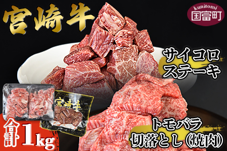 ＜宮崎牛 サイコロステーキ ＆ 宮崎牛 トモバラ 切落とし（焼肉）合計1.0kg＞翌月末迄に順次出荷【 牛 肉 牛肉 和牛 黒毛和牛 焼肉 BBQ 】