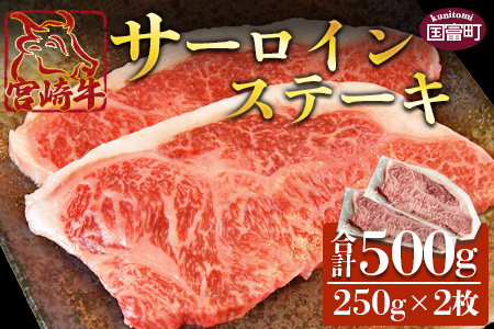 ＜宮崎牛 サーロインステーキ 250g×2枚＞翌月末迄に順次出荷【 国産 牛 牛肉 黒毛和牛 ステーキ 贅沢 高級　お祝い 誕生日 特別 和牛 】