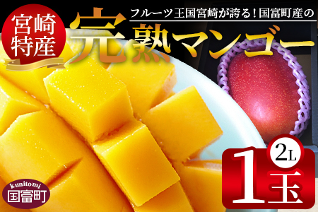 ＜宮崎特産！国富町産の完熟マンゴー 1玉（2L）＞2026年3月下旬～6月下旬迄に順次出荷【 期間限定 トロピカル フルーツ 果物 南国 マンゴー 宮崎完熟マンゴー 】