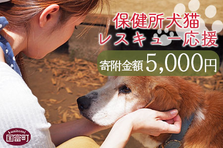 ＜保健所犬猫レスキュー【返礼品なしのご寄附】＞寄付金額5,000円※お礼状をお送りいたします。【 動物愛護 保護 犬 猫 いぬ ねこ イヌ ネコ 動物 どうぶつ ペット 応援 支援 寄付 使い道 】 5,000円