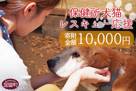 ＜保健所犬猫レスキュー【返礼品なしのご寄附】＞寄付金額10,000円※お礼状をお送りいたします。【 動物愛護 保護 犬 猫 いぬ ねこ イヌ ネコ 動物 どうぶつ ペット 応援 支援 寄付 使い道 】 10,000円
