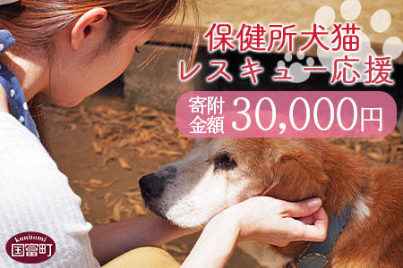 ＜保健所犬猫レスキュー【返礼品なしのご寄附】＞寄付金額30,000円※お礼状をお送りいたします。【 犬 猫 動物 ペット 寄附 保護 いのちのはうす保護家 】 30,000円