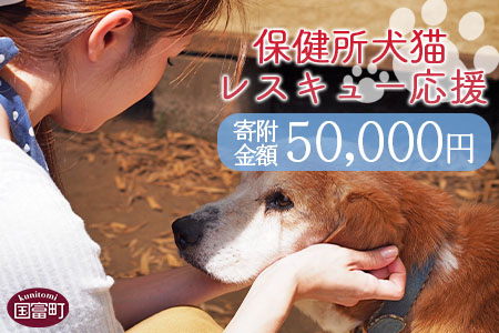 ＜保健所犬猫レスキュー【返礼品なしのご寄附】＞寄付金額50,000円※お礼状をお送りいたします。【 犬 猫 動物 ペット 寄附 保護 いのちのはうす保護家 】 50,000円