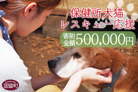 ＜保健所犬猫レスキュー【返礼品なしのご寄附】＞寄付金額500,000円※お礼状をお送りいたします。【 犬 猫 動物 ペット 寄附 保護 いのちのはうす保護家 】 500,000円