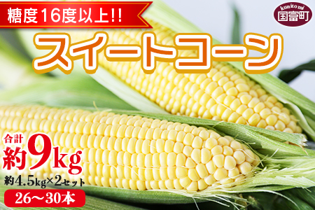 ★2026年発送★期間限定＜宮崎県産 スイートコーン 約9kg（約4.5kg×2箱）＞2026年5月下旬～6月中旬迄に順次出荷【 先行予約 穀物 野菜 甘い 季節限定 とうもろこし おやつ ご飯 】