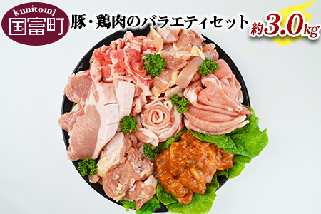 ＜豚肉 鶏肉 のバラエティセット（重量約3kg）＞翌月末迄に順次出荷【 肉 豚 鶏 若鶏 豚鶏 鶏豚 焼肉 BBQ とんかつ 唐揚げ 生姜焼き こま切れ みそ漬け 】