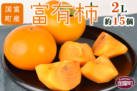 数量限定！予約受付！＜国富町産 富有柿 2L×約15個＞2025年11月中旬から12月中旬頃に順次出荷