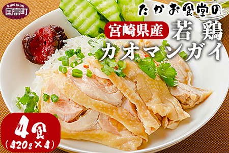 ＜たかお食堂の宮崎県産若鶏カオマンガイ 4食（420g×4）＞翌月末迄に順次出荷【 鶏 鶏肉 モモ もも タイ料理 タイ 外国 本格 アジアン エスニック 簡単　主婦 】