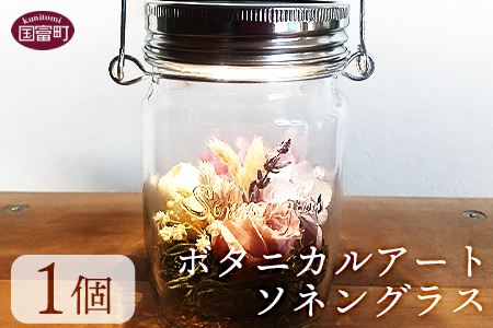 ＜ボタニカルアート ソネングラス＞翌月末迄に順次出荷【 インテリア ライト 飾り かわいい プレゼント 贈り物 ソーラー 雑貨 アウトドア 出産祝い 】