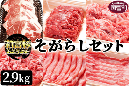 ＜和富豚 そがらしセット 2.9kg＞翌月末迄に順次出荷【 豚 肉 豚肉 国産 宮崎県産 エムツー 送料無料 -】 1回お届け【20,000円】