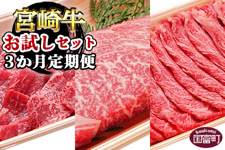★3か月定期便★＜宮崎牛お試しセット＞翌月末迄に第１回目発送【 定期便 肉 牛 牛肉 和牛 黒毛和牛 】