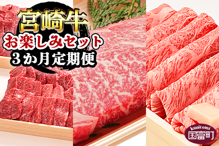 ★3か月定期便★＜宮崎牛お楽しみセット＞翌月末迄に第１回目発送【 定期便 肉 牛 牛肉 和牛 黒毛和牛 -】
