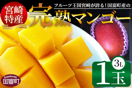 <宮崎県産完熟マンゴー 3L×1玉>2026年3月下旬～6月下旬迄に順次出荷【 期間限定 フルーツ 果物  】[A0593]
