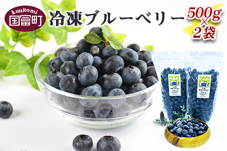 ★農園直送★＜冷凍ブルーベリー(500g×2袋)＞翌月末迄に順次出荷【 ブルーベリー フルーツ 果物 果実 シャーベット アイス お菓子作り 冷凍保存 八重尾工房 】