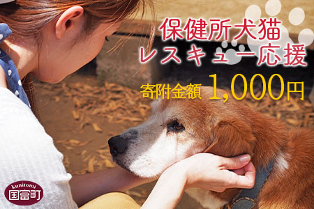 ＜保健所犬猫レスキュー【返礼品なしのご寄附】＞【 動物愛護 愛護活動 保護 犬 猫 いぬ ねこ イヌ ネコ 動物 どうぶつ ペット 応援 支援 寄付 使い道 寄附のみ いのちのはうす保護家 】 1,000円